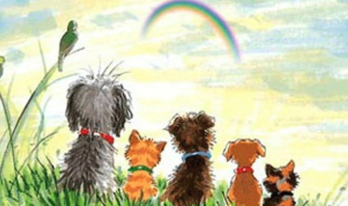 Alles für Haustiere