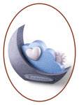 Mini Kinder / Baby Asche Urne 'Mond Wolke' - HMP645