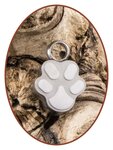 Edelstahl Damen Asche Armband - AB405