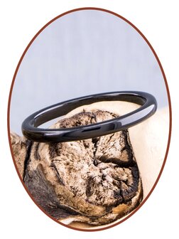 Tungsten Carbide Design Damen Ring Zwart 2mm - TU001B LET OP: DIT IS GEEN ASRING!