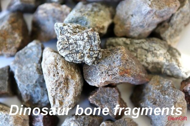Tungsten Carbide Sehr exclusiver Meteorit - Dinosaurier  Asche Ring - CRT140